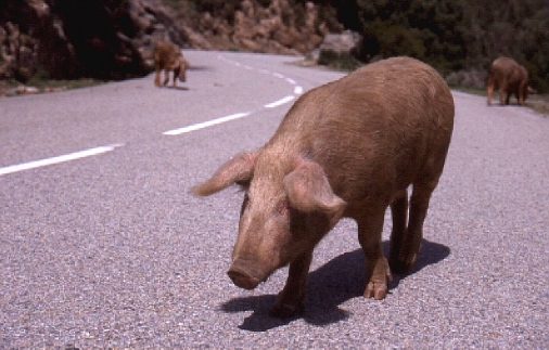 Es f�hlt sich ganz ungest�rt.